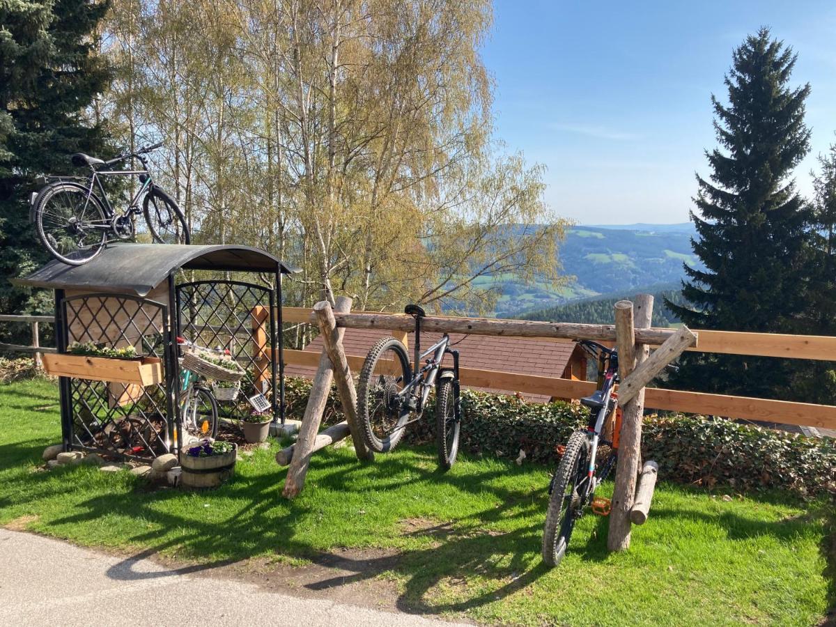 Weixl Schi&Bike Appartements-Bike In&Bike Out Neben Wexl Trails Bikepark Sankt Corona am Wechsel Extérieur photo