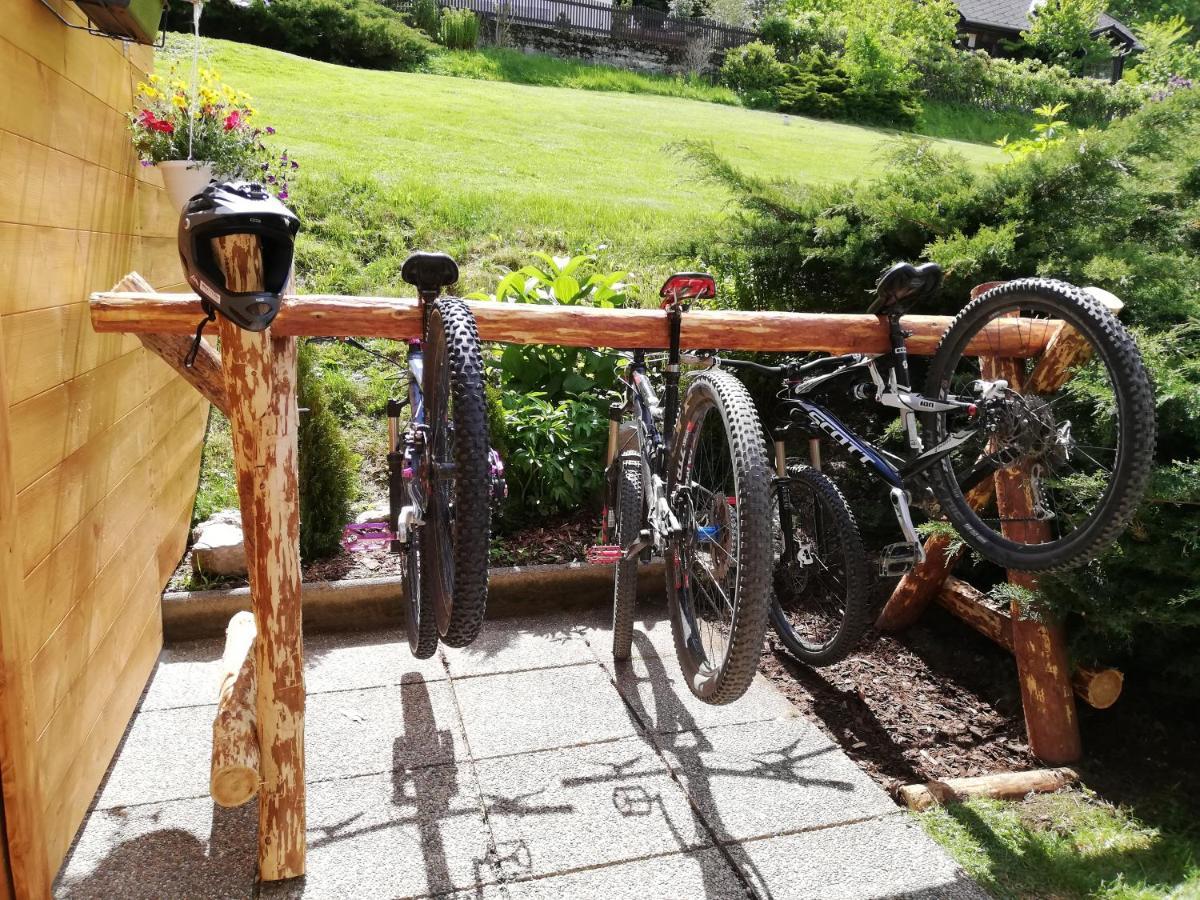 Weixl Schi&Bike Appartements-Bike In&Bike Out Neben Wexl Trails Bikepark Sankt Corona am Wechsel Extérieur photo